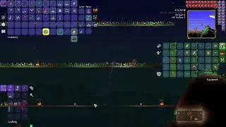 Terraria Achieving Magical enlightenment (Live)