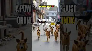Headline: Supreme Court Tells Dog Feeders to Take Strays Home🫣 #viralshort #viralvideo #shorts