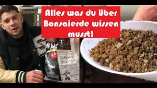 BONSAI BASICS: Pflanzen und Bonsaierde. Alles was du wissen musst. DIY Bonsai Anleitung f&uuml;r Anf&auml;nger
