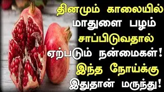 Benefits of eating pomegranate | Pomegranate Health Benefits in Tamil | Nalam 360