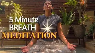 5 min Breath Meditation for Busy Mind | Day 2 (5 Min 5 Days Meditation)