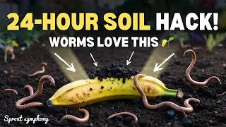 Banana Peel Biochar Miracle :The 24-Hour Soil Hack That Brings Worms Back FAST