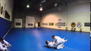 Gracie Jiu Jitsu Blue Belt Test