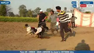 Final Race | Hit Man (v/s) Saleena