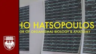2016 Graduate Teaching Awards: Nicholas Hatsopoulos