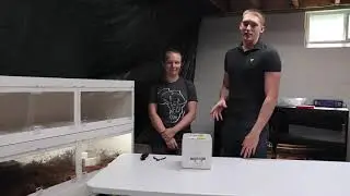 Indo Caramel reticulated python unboxing