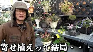 寄せ植えって実際はこう【カーメン君】【園芸】【ガーデニング】
