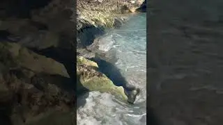 ASMR - White Noise - Ocean waves lapping the shore @ VARADERO, CUBA