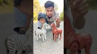 Moving zebra Rc Horse Tasting Deko 😍