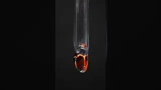 Glass on Fire? - Lithium #science #chemistry