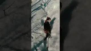 Cat walks outdoors | Adventure cat | Cat on the leash
