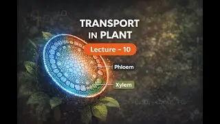 Transport In Plant || Lecture - 10 || Life Process || BIOLOGY || Chapter - 5 || Class - 10th
