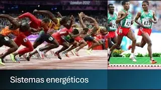 Sistemas energéticos