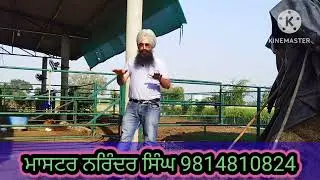 how reach rice to our meal#paddy#information #knowledge #agriculture #farmer#rice processing #viral