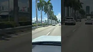 #miamilife #жизньвмайами