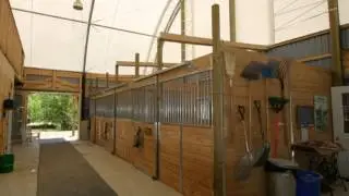 BRITESPAN Equine Video