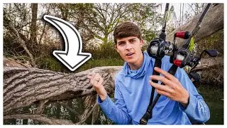 The Reasons WHY You're NOT Catching Bass In WOOD!