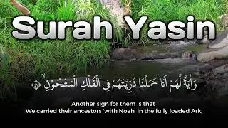 Calming Quran Recite Surah Yasin to Ease the Time Before Resurrection (ما قبل البعث)
