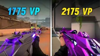 ARAXYS 2.0 PHANTOM vs SINGULARITY PHANTOM
