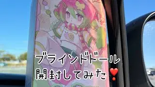 ブラインドドール開封！
