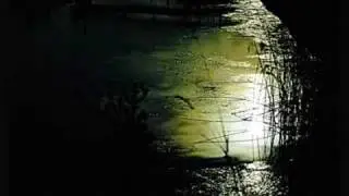 Heaven's Hung In Black - - - W.A.S.P.