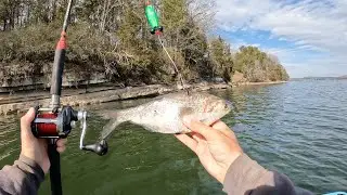 Foolproof Catfishing Method (Works Every Time)