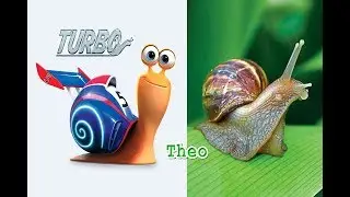 Turbo in Real Life - All Characters 2019 - OMG Kids