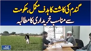 Wheat Sowing Target Achieved | Farmers Demand Fair Purchase | Mailsi Updates