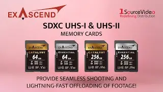 Exascend's UHS-I & UHS-II SDXC Memory Cards: Fast, Reliable & Durable for Photography & Video