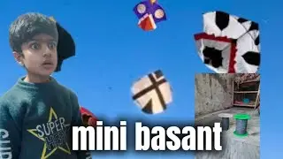 MINI BASANT 🔥