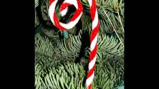 Chenille Stem (Pipe Cleaner) Candy Cane Ornament