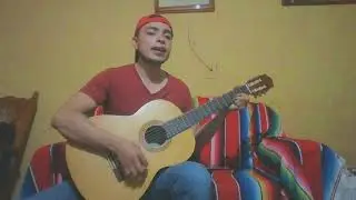 gracias amor (cover en guitarra) 