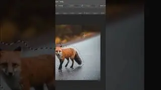 How To Warp Text Around Subject in Adobe Photoshop 2022