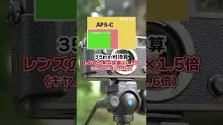 デジカメの「フルサイズ」「APS-C」「マイクロフォーサーズ」って何が違うの？#shorts 【カメラのキタムラ公式】