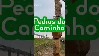 Pedras do caminho ECOTV #ecotv #brasil #ecotvs&eacute;ries #sc #papotem&aacute;ticoecotv