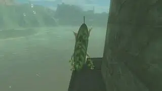 Korok seeds  | Bridge of Hylia | Lake Tower #30 | Zelda BOTW