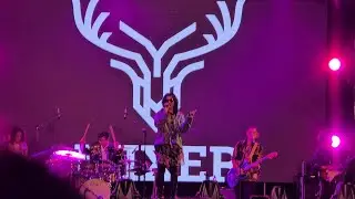 〔麋先生MIXER - 都是浪漫害的〕／2025 高雄聖誕生活節／Live