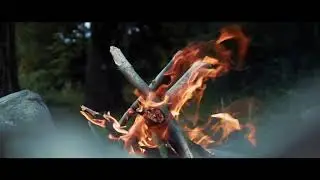 Video Production Website Promo 2022