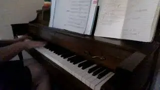 Wizard Fantasy by Mary Leaf (one take)