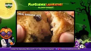 Gardenia Muffins x Mad Science Laboratory: Halloween Experiment at #TheOrchardGolf!