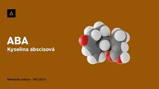 Kyselina abscisov&aacute; - ABA | Molekula měs&iacute;ce - 08/2025