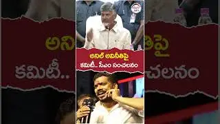 Chandrababu Comments On Anil Kumar Yadav | #tdpvsycp | #appolitics | #yuvagalam | #shortstelugu