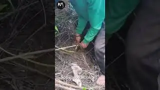 RT 5000498 mini rotary tillage and ridging all-in one tree 🌴