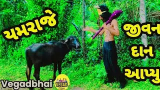 યમરાજે જીવન દાન આપ્યું|yamraje jivan dan aapyou|#gujarati #viralvideo #trendingvideo #youtubevideo 