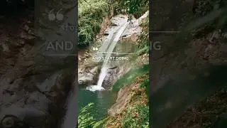 #quotes #yt #ytshorts #motivation #studentlife #nature #endofbeginning #song #waterfall #inspiration
