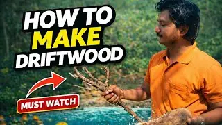 how to make driftwood at home 🪾