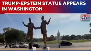 Epstein Saga Continues To Haunt U.S President: Trump-Epstein Statue Placed On National Mall | WATCH