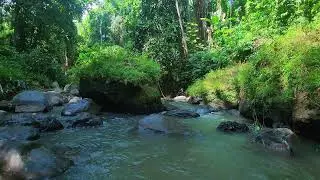 Relaxing River Sounds &ndash; Peppergrass Run &mdash; water only, no birds.