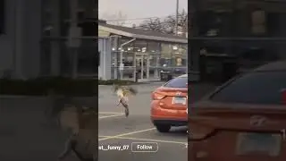 Nah, that's just CRAZY 🤣🤣🤣🤣#fypシ゚viral #funnyvideo #fypシ #funnyshorts