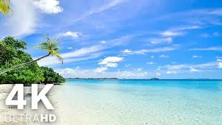 Best Tropical Beaches with Turquoise Waters 🌊 4K VIDEO UltraHD 🏖️